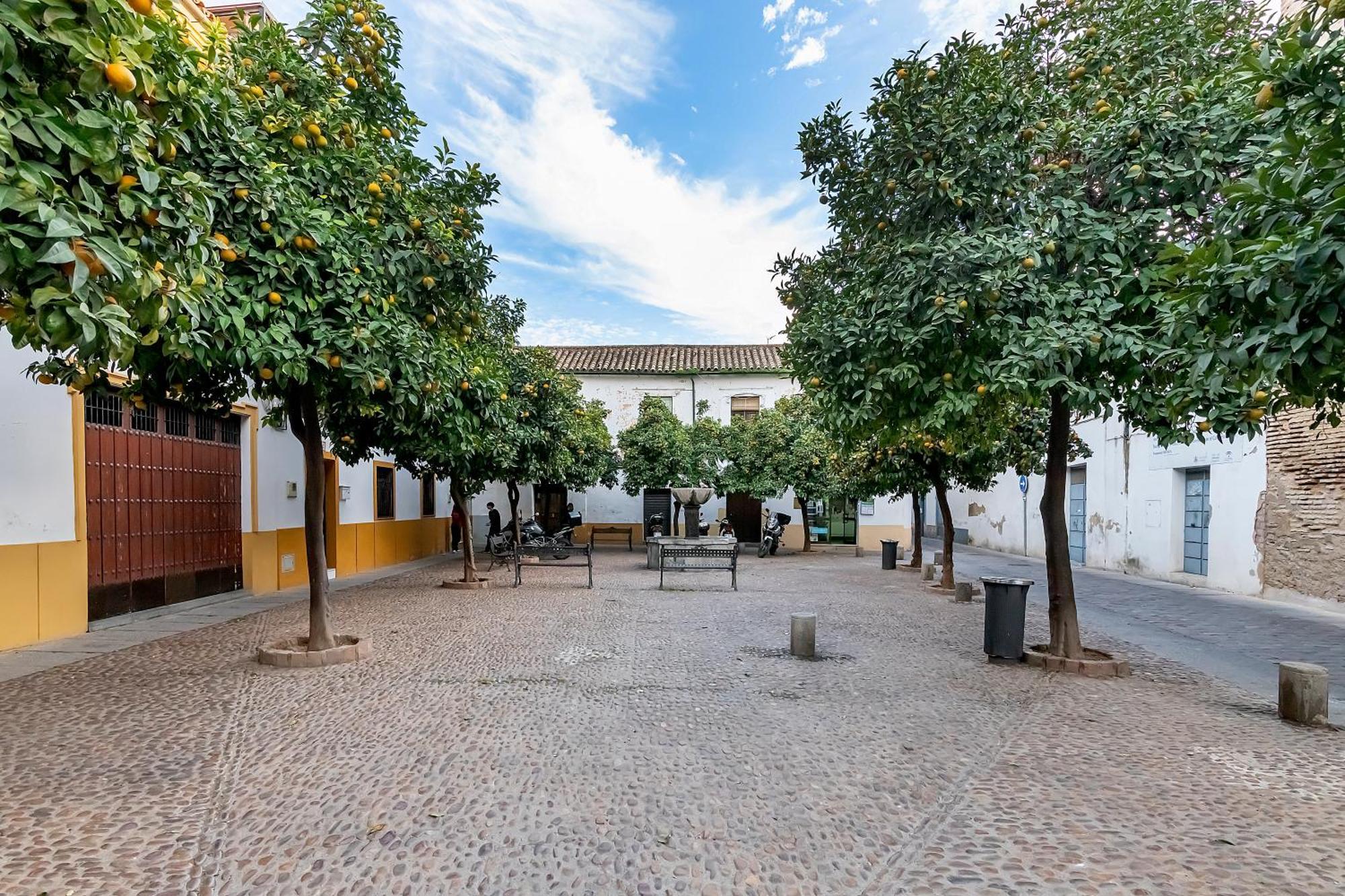 Apartamento La Yaya María Córdoba Exterior foto